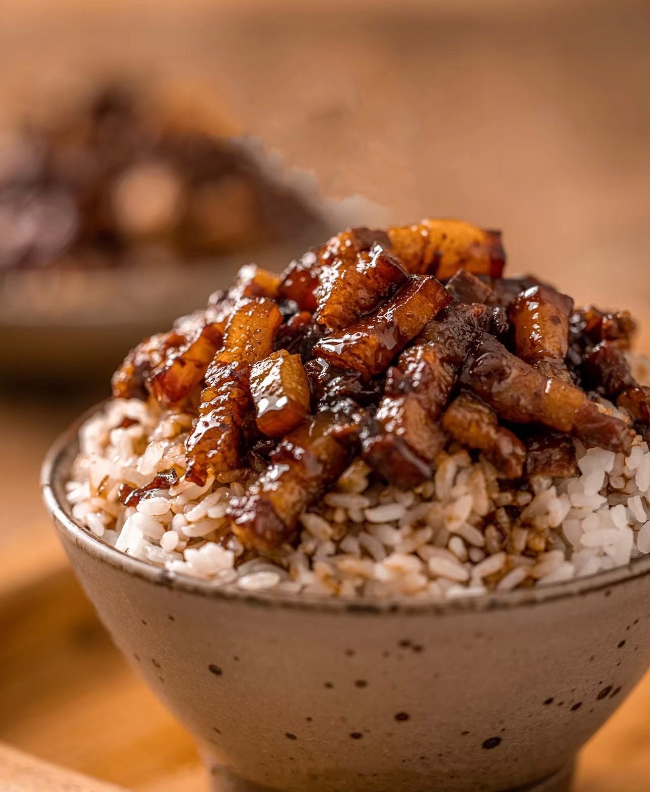 A bowl of braised pork rice