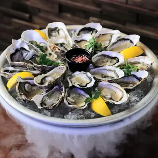 24 Oysters