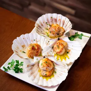 Scallops
